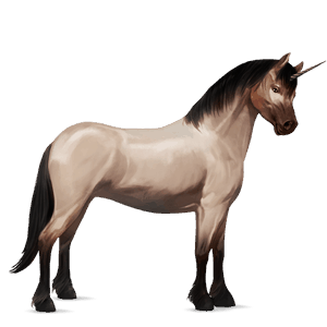 jednorožcový poník newfoundlandský pony svetlošedý