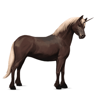 jednorožcový poník belgický jazdecký pony škvrnitý šedý