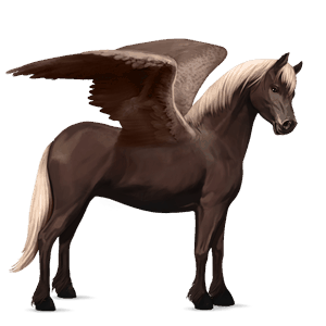 pegasový poník connemarský pony svetlý hnedák