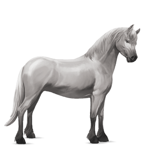 poník shetlandský pony svetlý hnedák
