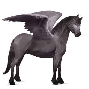pegasový poník waleský pony gaštanový