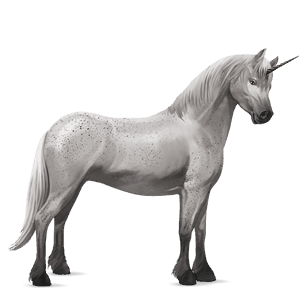 jednorožcový poník connemarský pony škvrnitý šedý