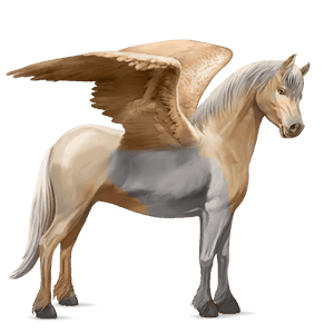 pegasový poník connemarský pony škvrnitý šedý
