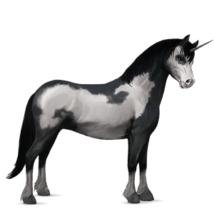 jazdecký jednorožec achaltekinský kôň palomino