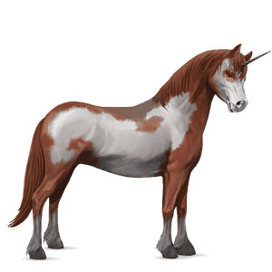 jednorožcový poník belgický jazdecký pony myšací šedý