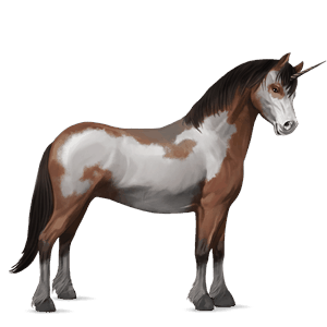 jednorožcový poník waleský pony hnedák
