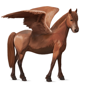 pegasový poník newfoundlandský pony gaštanový