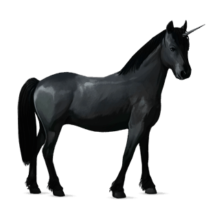 jednorožcový poník shetlandský pony tmavý hnedák