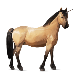 jednorožcový poník shetlandský pony cremello