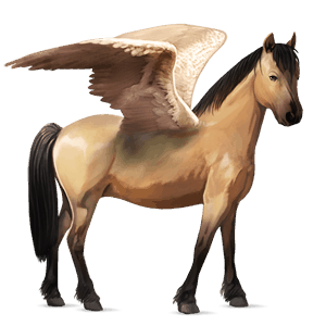 pegasový poník waleský pony plavák