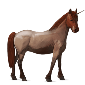 jednorožcový poník connemarský pony červený beluš
