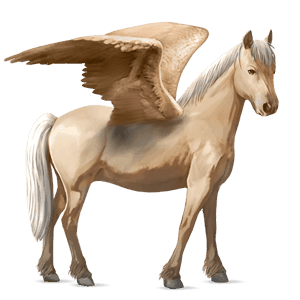 pegasový poník connemarský pony cremello