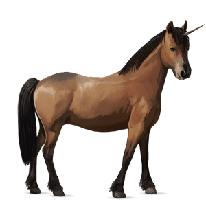 jednorožcový poník newfoundlandský pony svetlý hnedák