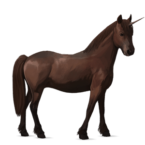 jednorožcový poník newfoundlandský pony tmavý hnedák