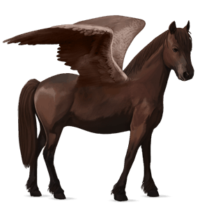 pegasový poník poník highland škvrnitý šedý