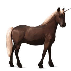 jednorožcový poník shetlandský pony ryšiak tobiano