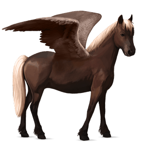 pegasový poník čierny ryšiak