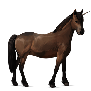 jednorožcový poník waleský pony tmavý hnedák