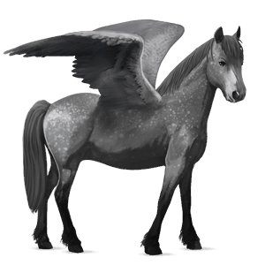pegasový poník newfoundlandský pony škvrnitý šedý