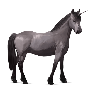 jednorožcový poník waleský pony škvrnitý šedý