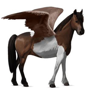 jazdecký pegas gypsy vanner ryšiak tobiano
