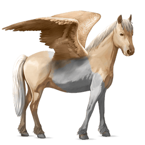 pegasový poník poník highland škvrnitý šedý