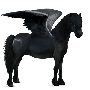 pegasový poník newfoundlandský pony svetlý hnedák