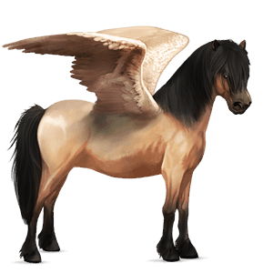 pegasový poník kerry bog Čierny