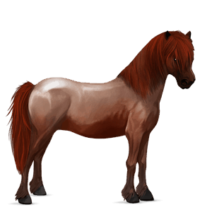 poník cremello
