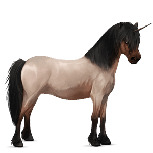 jednorožcový poník shetlandský pony hnedák tobiano