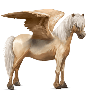 pegasový poník kerry bog palomino