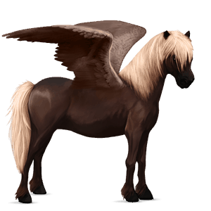 pegasový poník waleský pony tmavý ryšiak