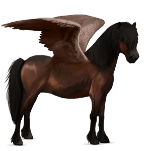 pegasový poník waleský pony tmavý hnedák