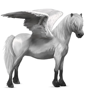 pegasový poník connemarský pony palomino