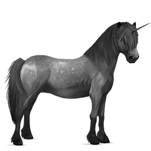 jednorožcový poník newfoundlandský pony škvrnitý šedý