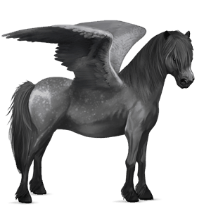 pegasový poník škvrnitý šedý
