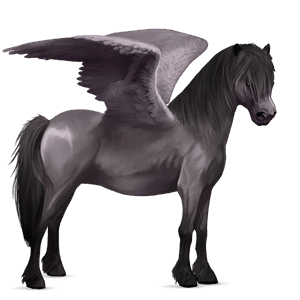 pegasový poník waleský pony plavák
