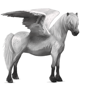 pegasový poník newfoundlandský pony hnedý ryšiak