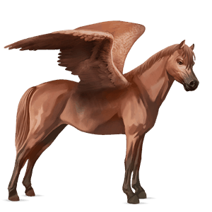 pegasový poník waleský pony gaštanový