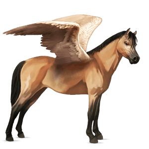 pegasový poník new forest pony plavák
