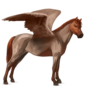 pegasový poník connemarský pony škvrnitý beluš