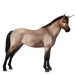jednorožcový poník waleský pony tmavý hnedák