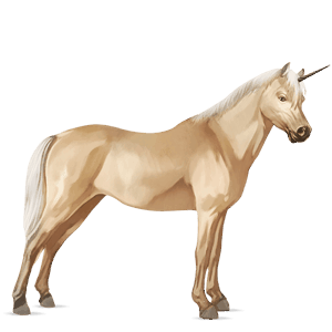jednorožcový poník waleský pony palomino