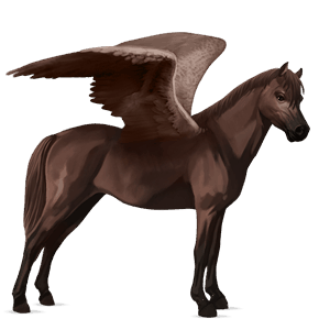 pegasový poník poník highland svetlý hnedák