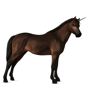 jednorožcový poník shetlandský pony hnedák