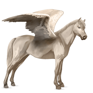 pegasový poník ryšiak tobiano