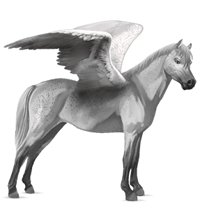 pegasový poník waleský pony škvrnitý šedý