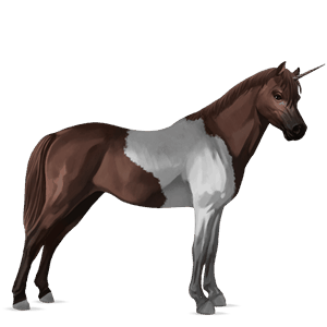 jednorožcový poník waleský pony gaštanový
