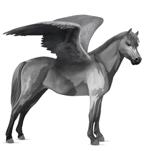pegasový poník waleský pony svetlošedý