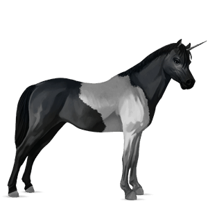 jednorožcový poník belgický jazdecký pony hnedý ryšiak
